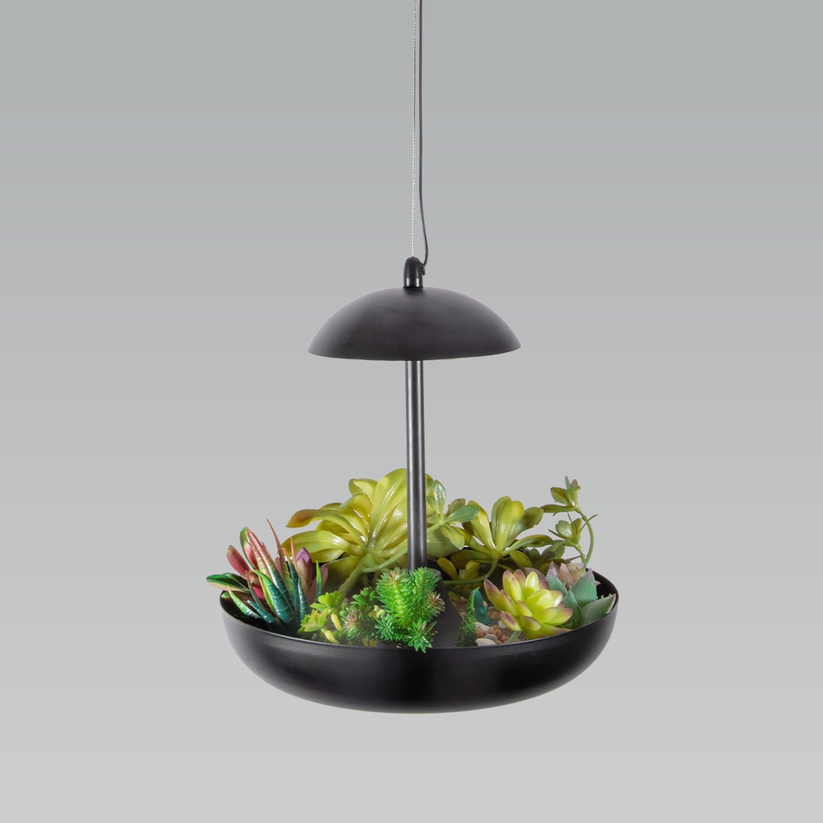 Buy Hanging Garden LED Pendant Light Corner