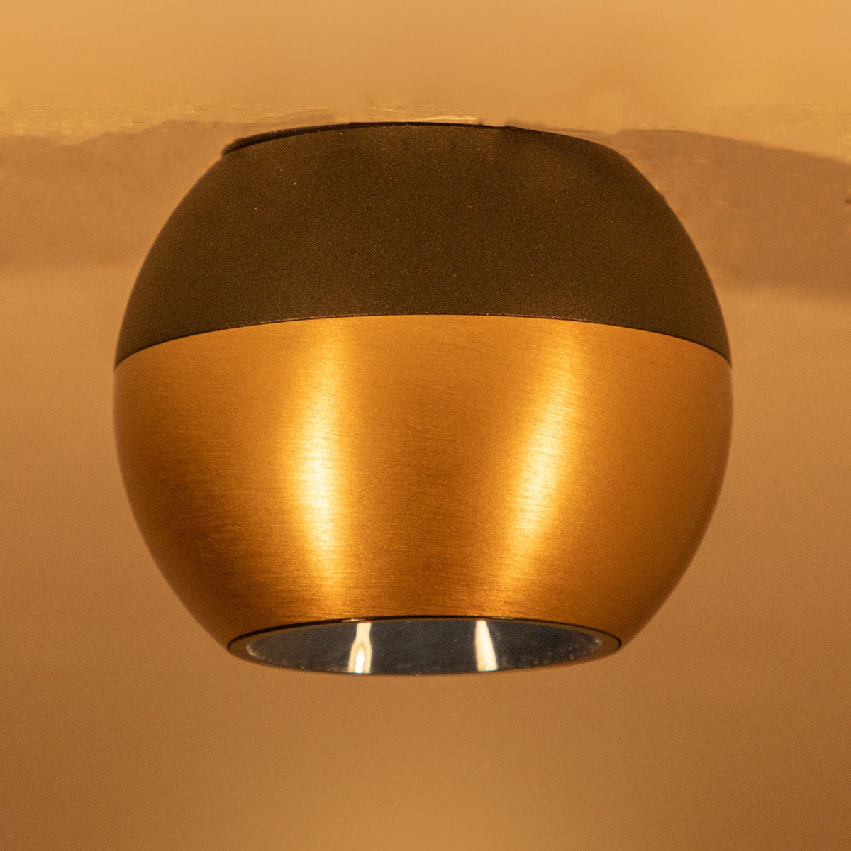 Buy NXT Black Copper LED Ceiling Light online