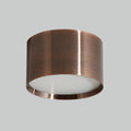 Bright Beauty Copper LED Ceiling Light