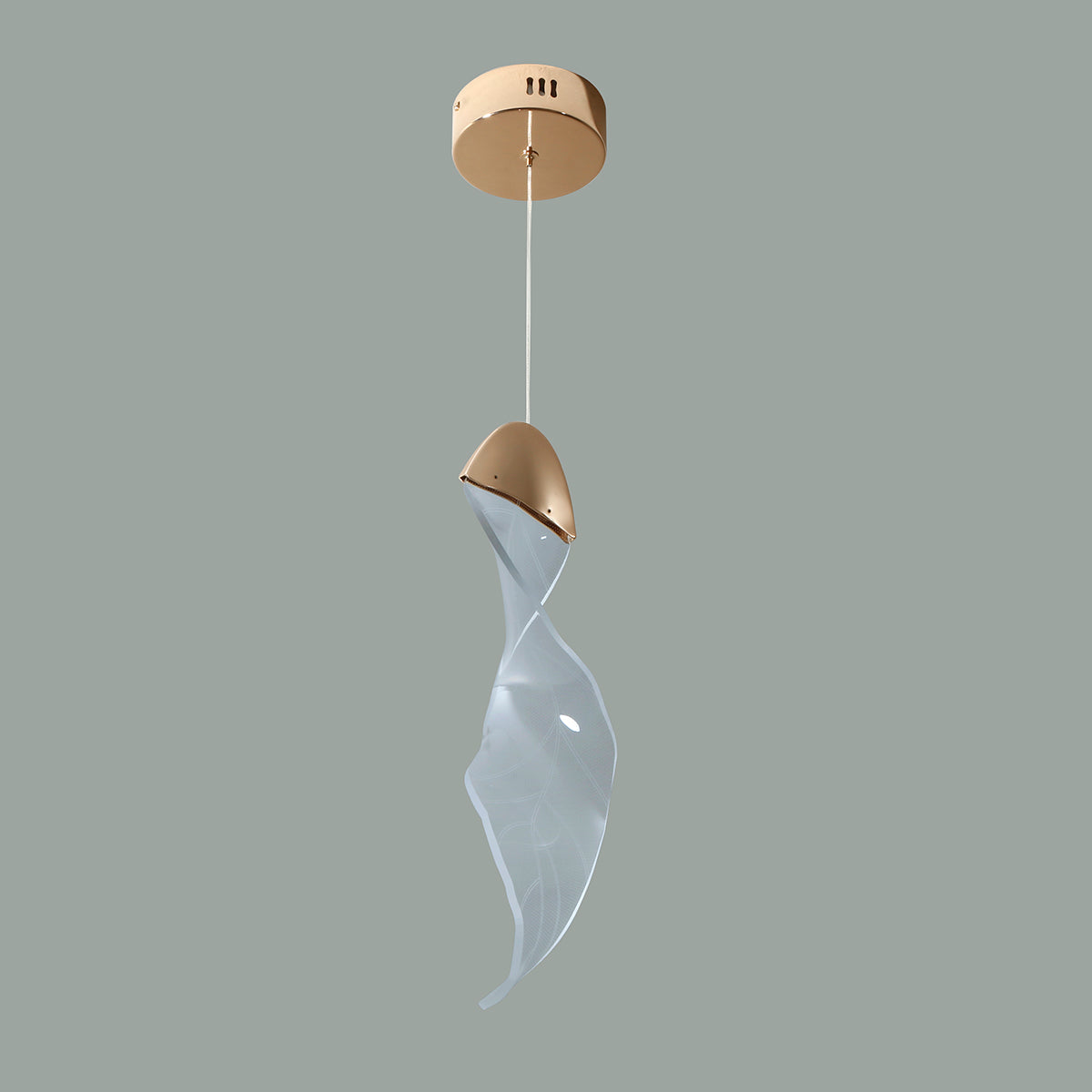Buy Autumn Leaves LED Pendant Light Bangalore