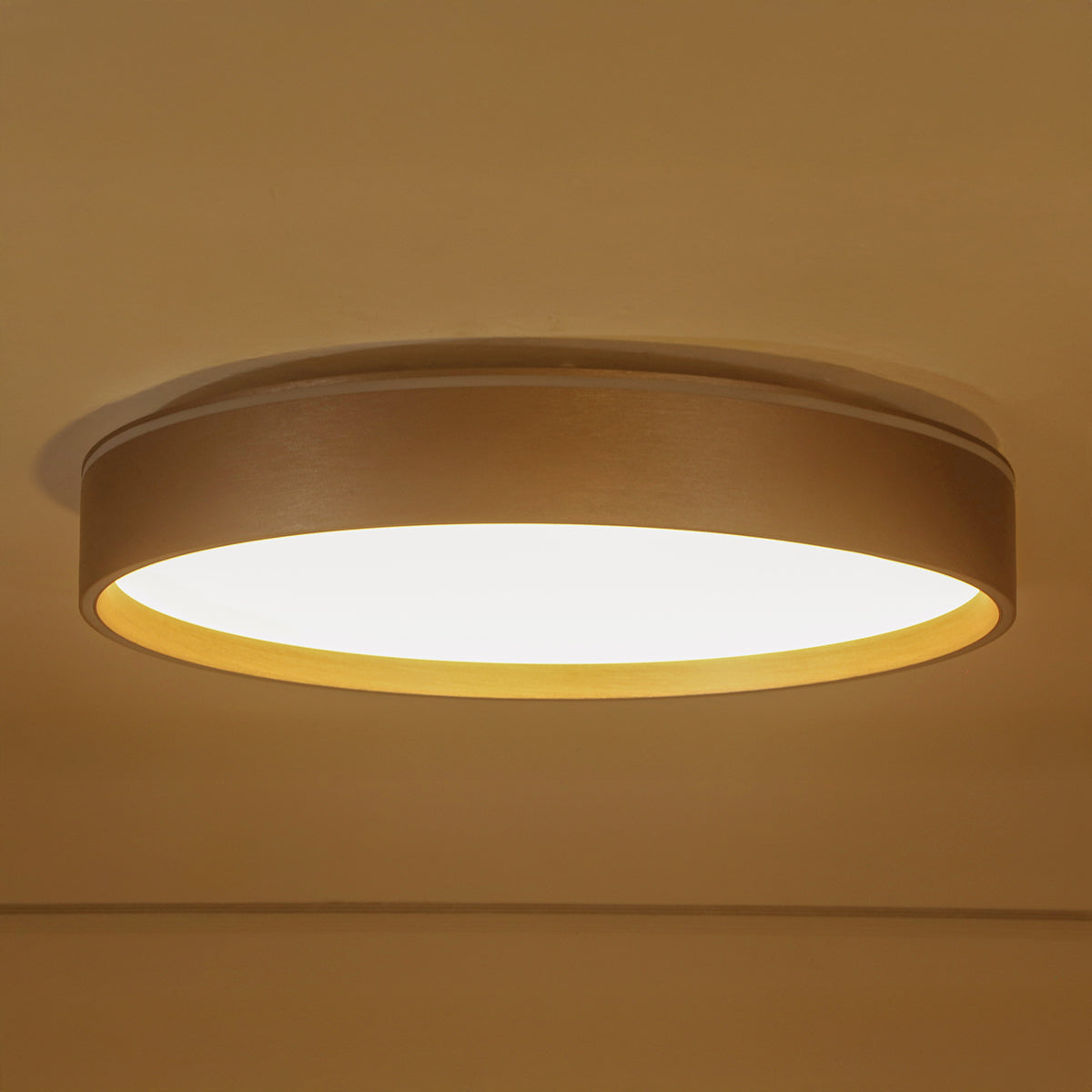 Buy Bright Sun 500mm (3 Colour) LED Chandelier- Ceiling Light Online