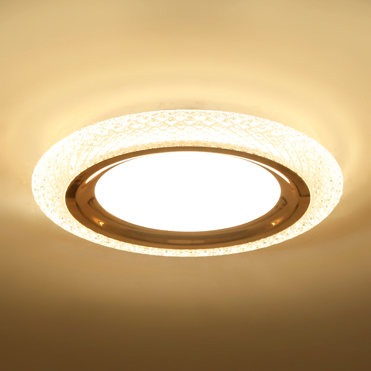 Buy Circle of Life Small (3 Colour) LED Chandelier Interior Lights