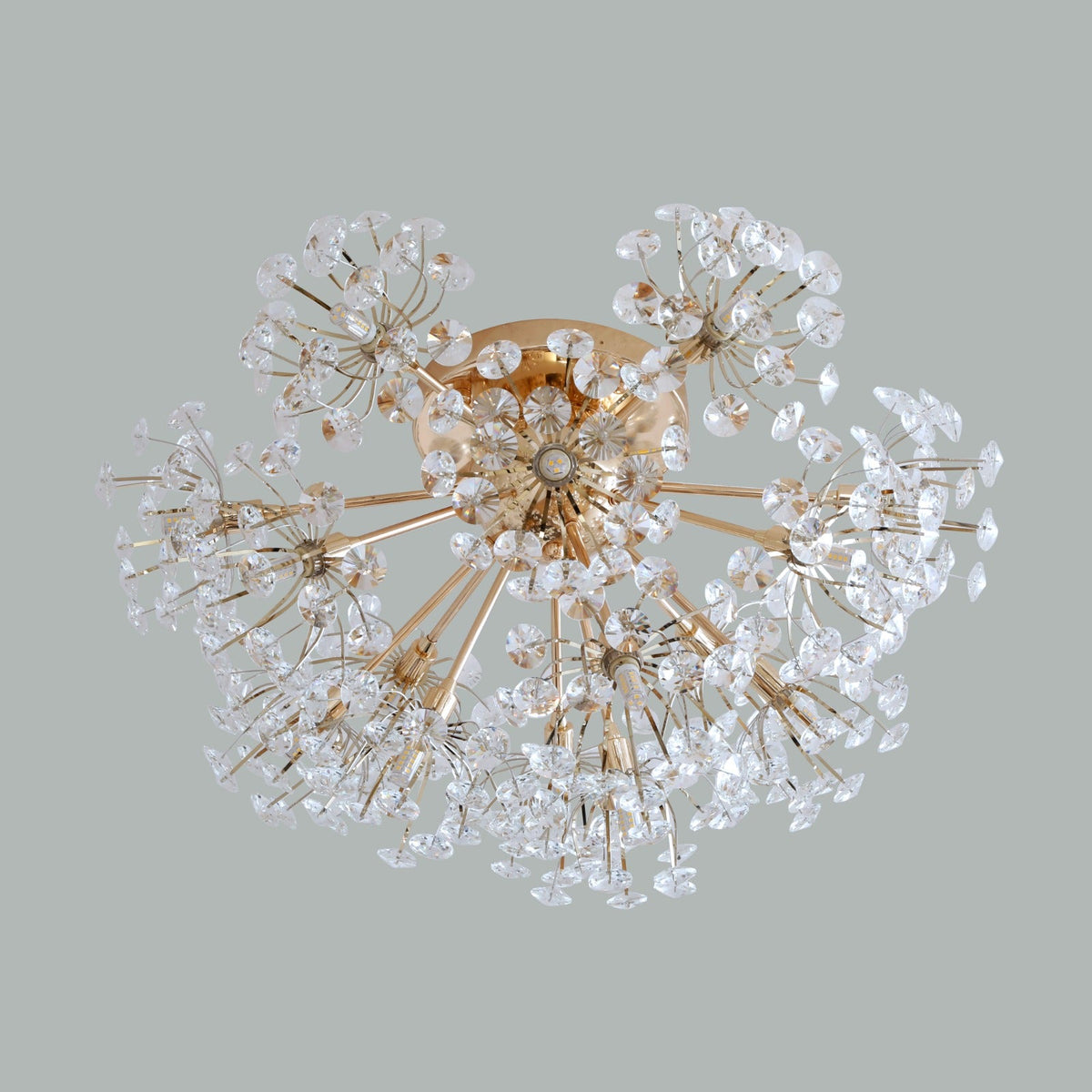 Buy Day Dreaming Ceiling LED Chandelier flush mounted