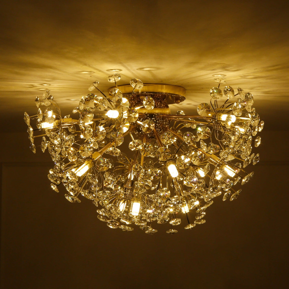 Buy Day Dreaming Ceiling LED Chandelier online