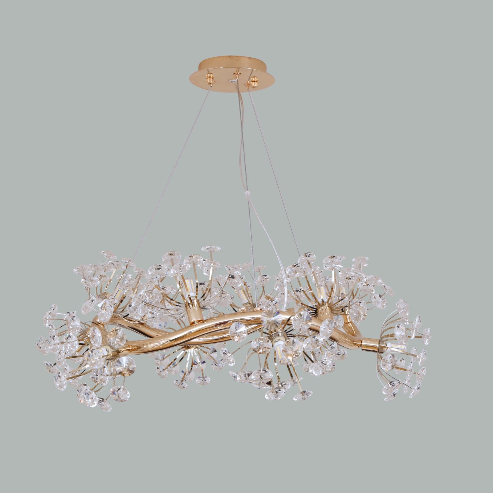 Day Dreaming Round LED Chandelier for Living room Light & Living