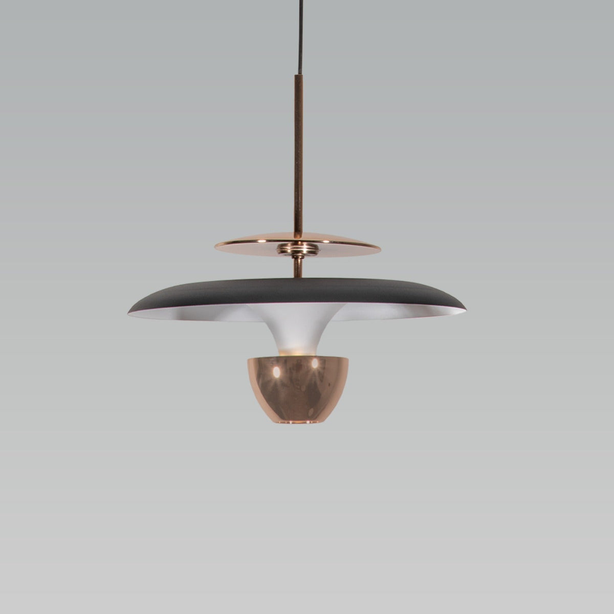 Double Down Gold Black LED Pendant Light
