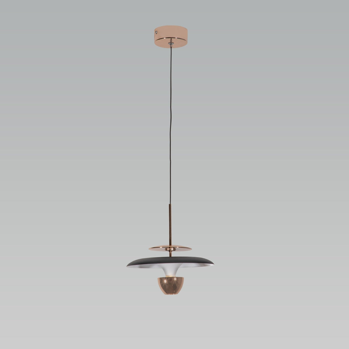 Double Down Gold Black LED Pendant Light