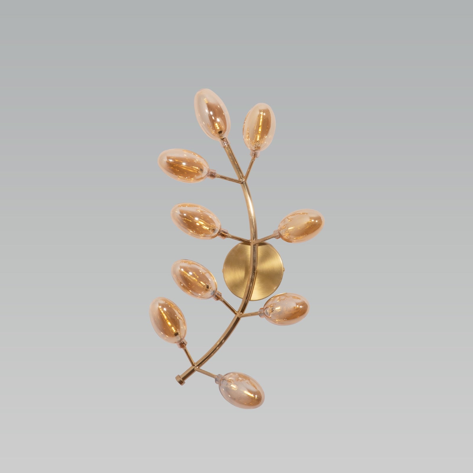 Shop Fern Amber LED Wall Light Delhi