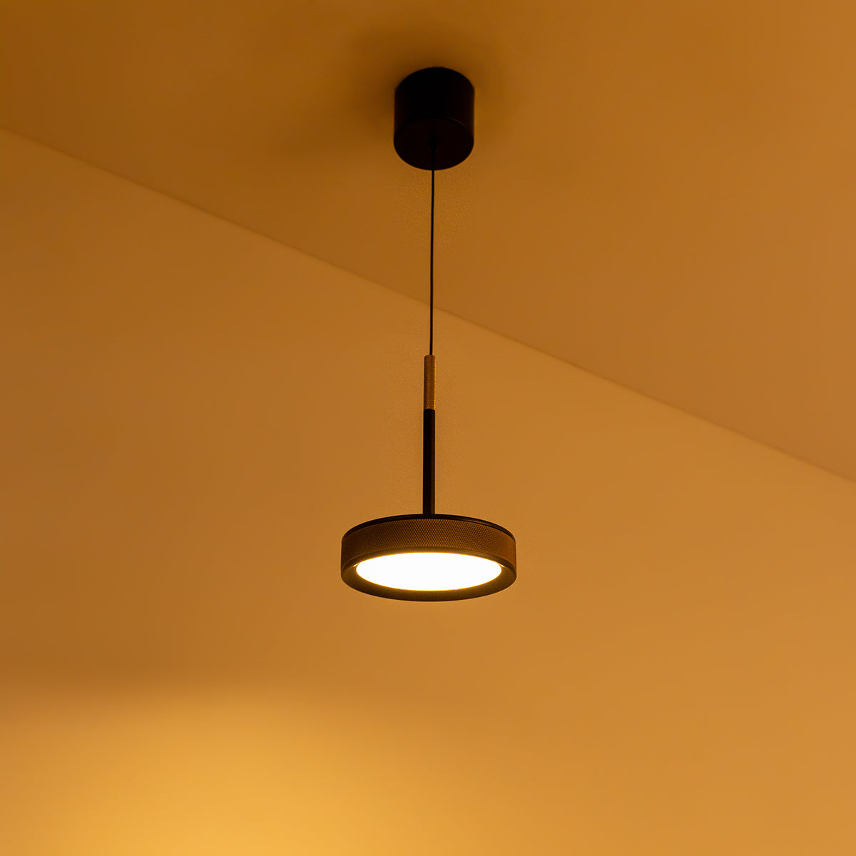 Buy Glorious Day Black Gold LED Pendant Light home