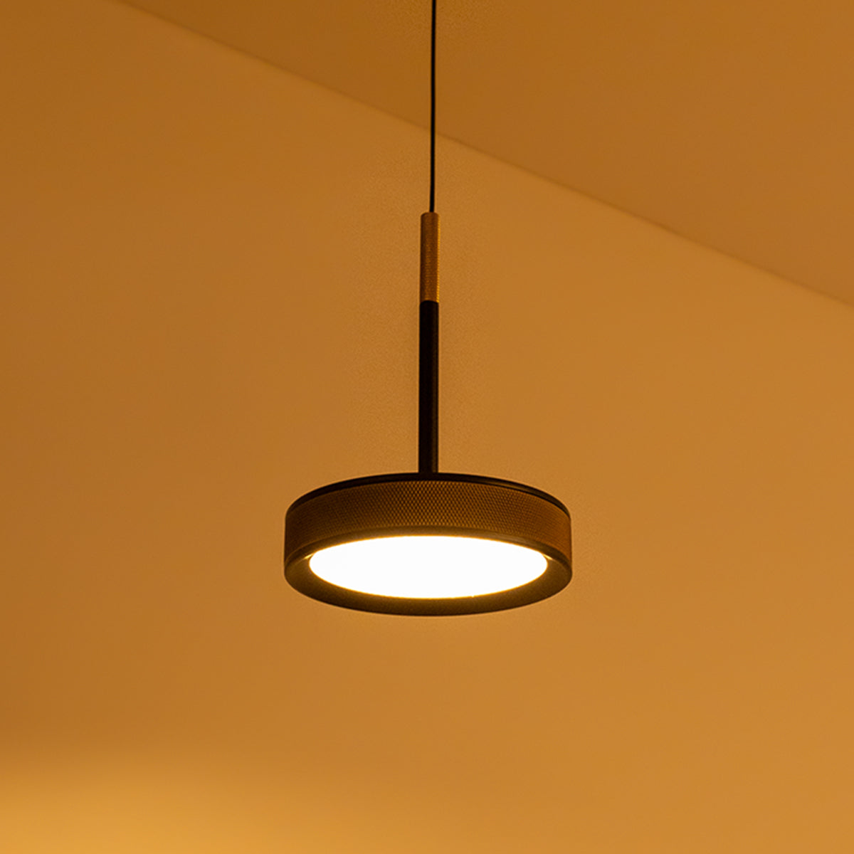 Buy Glorious Day Black Gold LED Pendant Light living