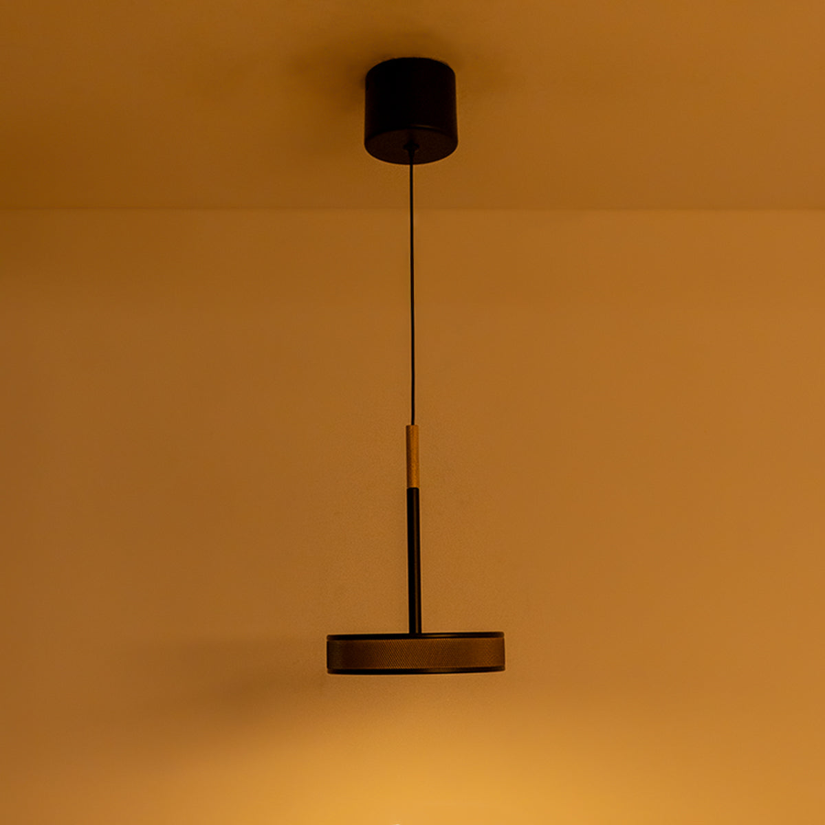 Buy Glorious Day Black Gold LED Pendant Light modern