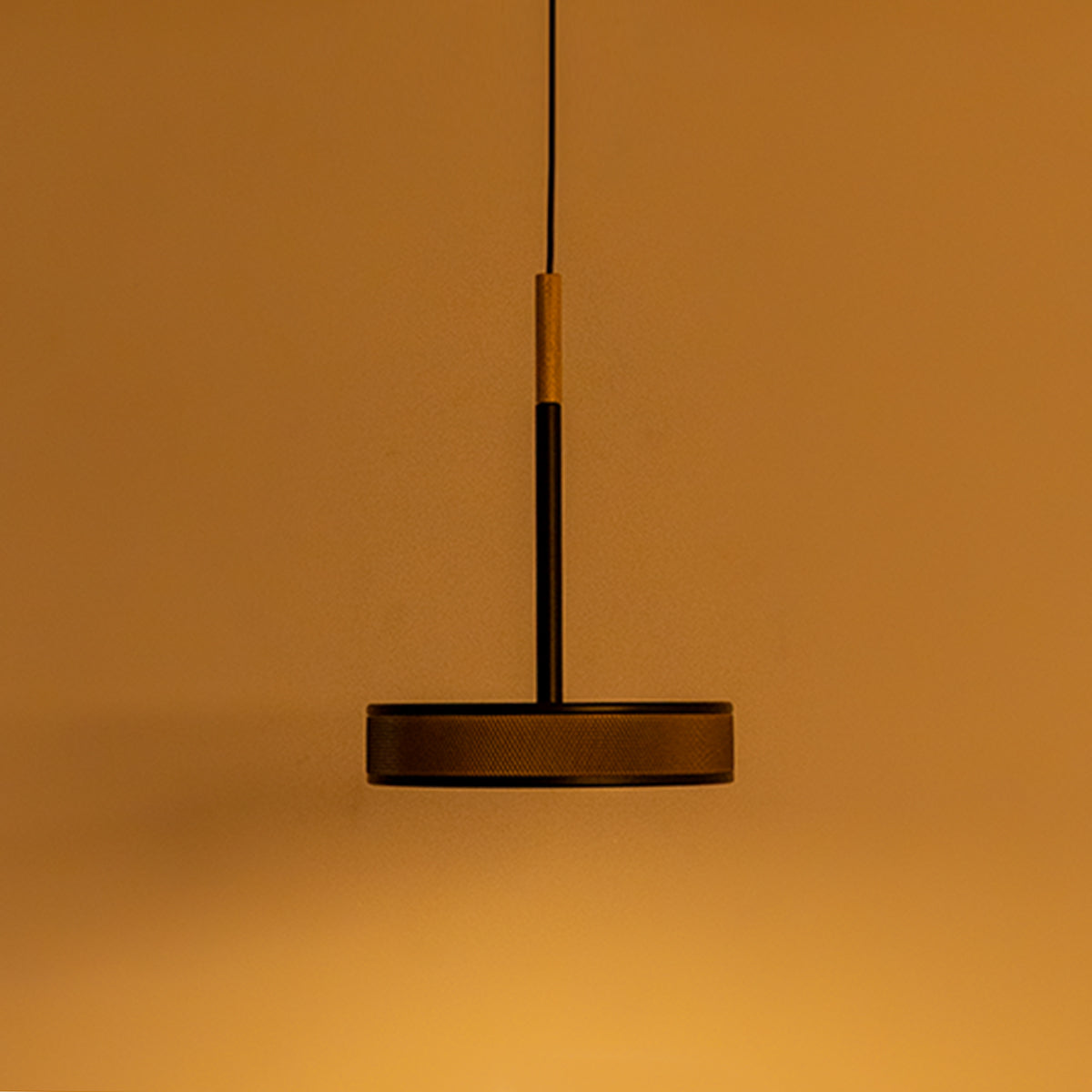Buy Glorious Day Black Gold LED Pendant Light online home