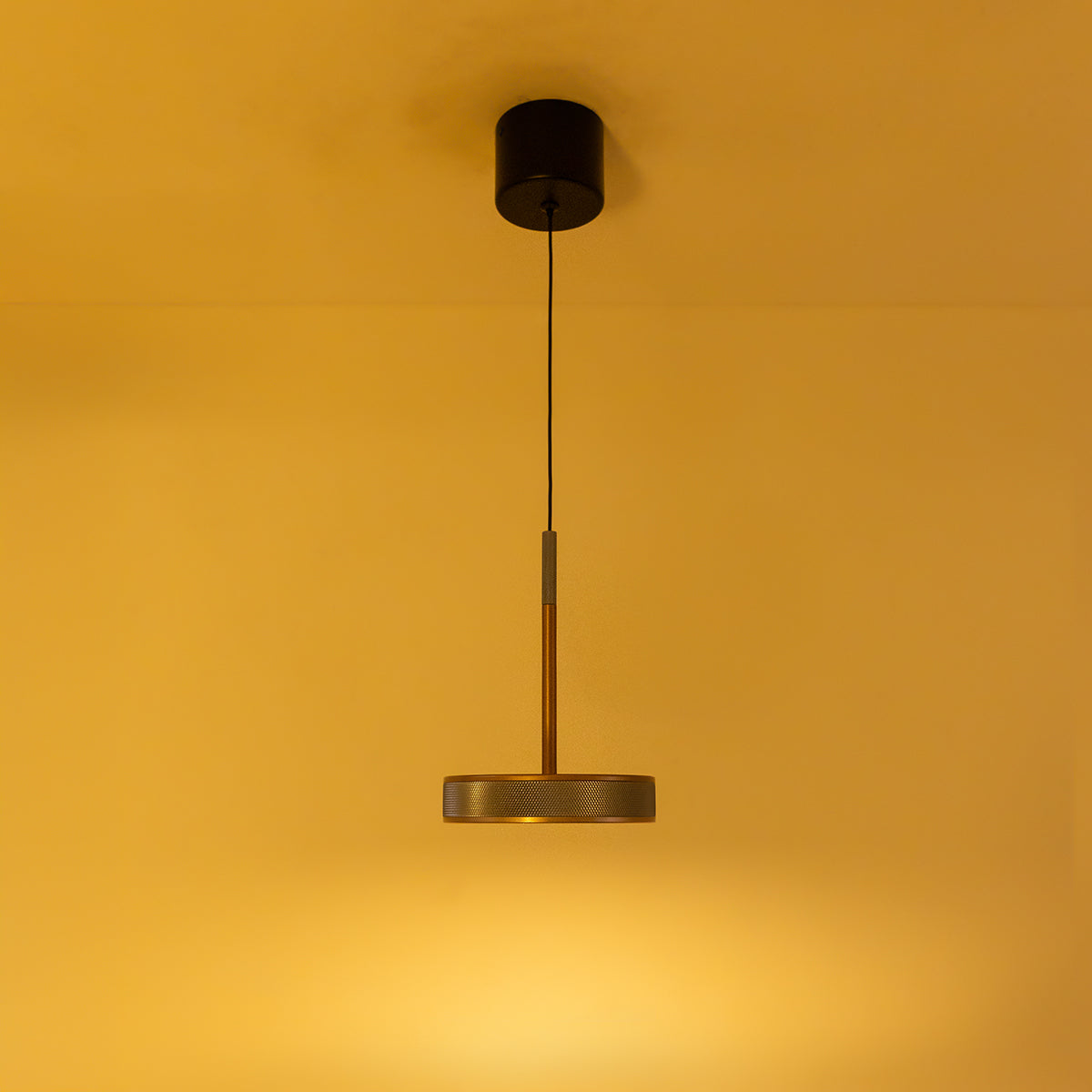 Buy Glorious Day Copper LED Pendant Light modern