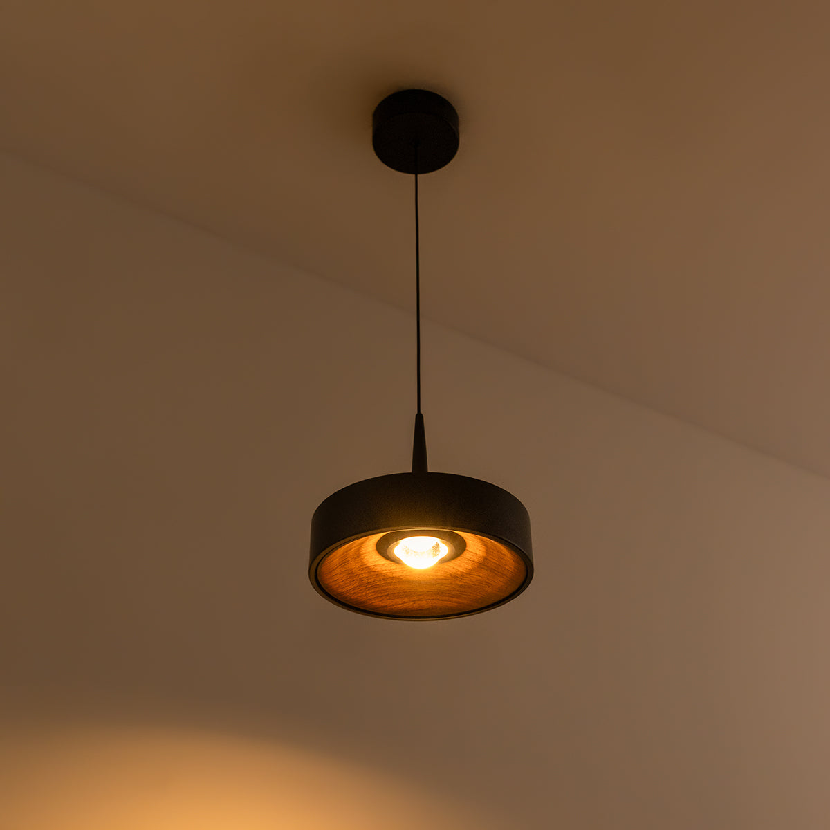 Buy Great Joy LED Pendant Light bangalore