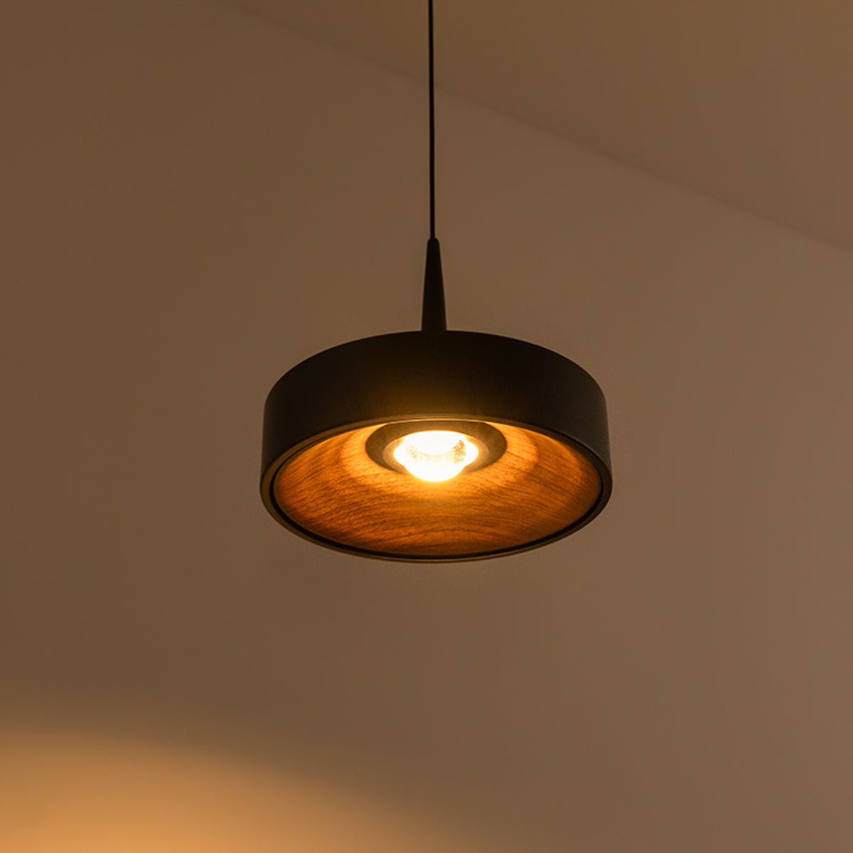 Buy Great Joy LED Pendant Light interior 