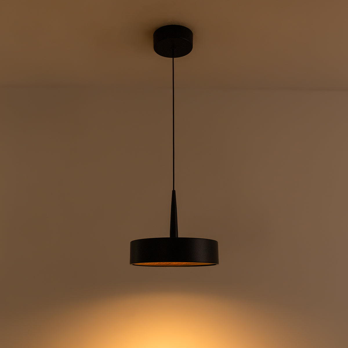 Buy Great Joy LED Pendant Light modern