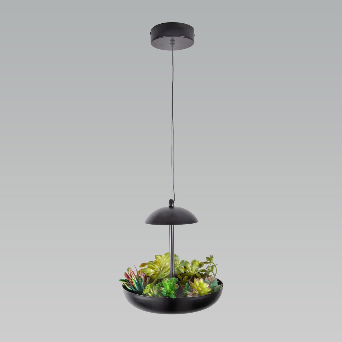 Buy Hanging Garden LED Pendant Light India
