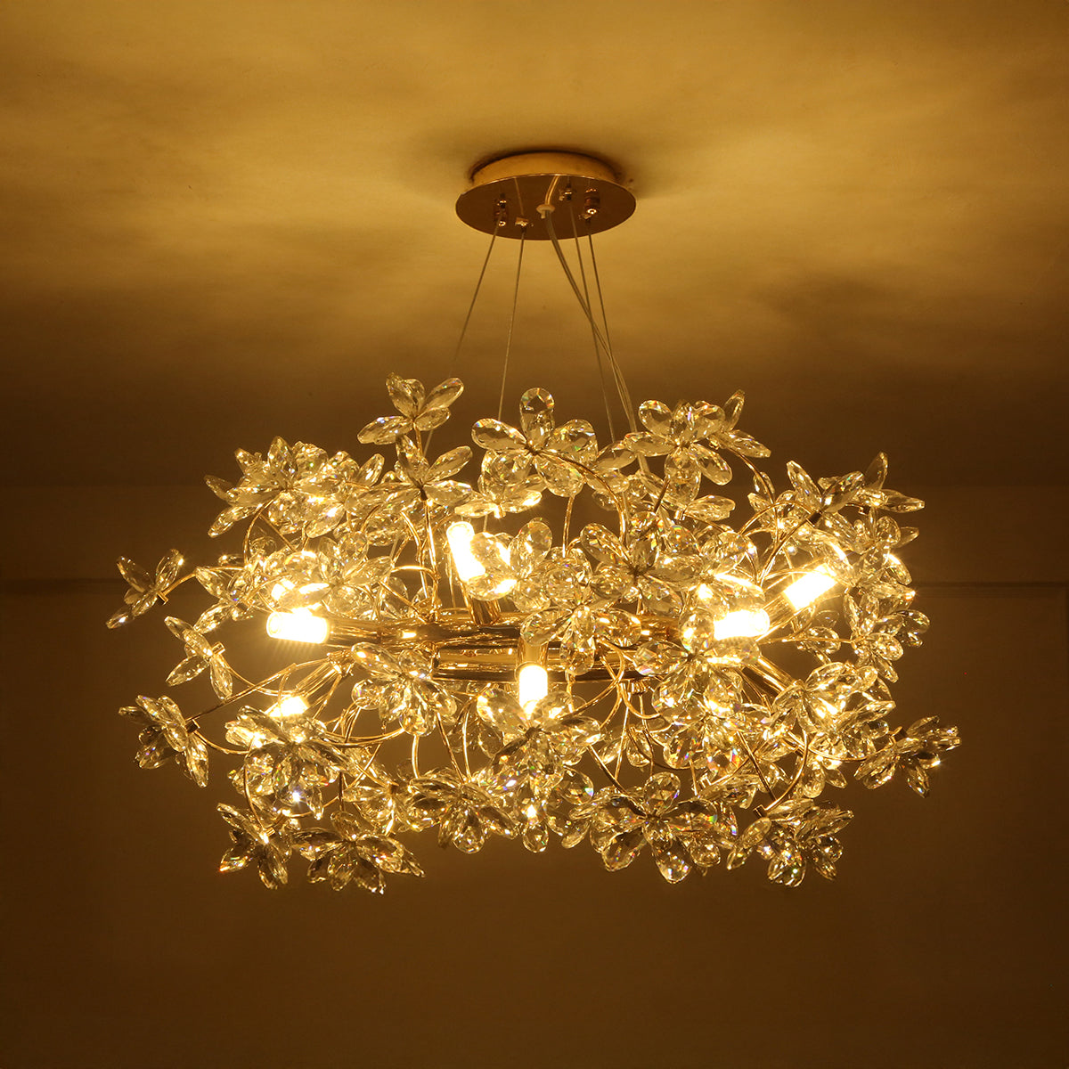 Buy Head Turner Crystal Round LED Chandelier Interior Lights