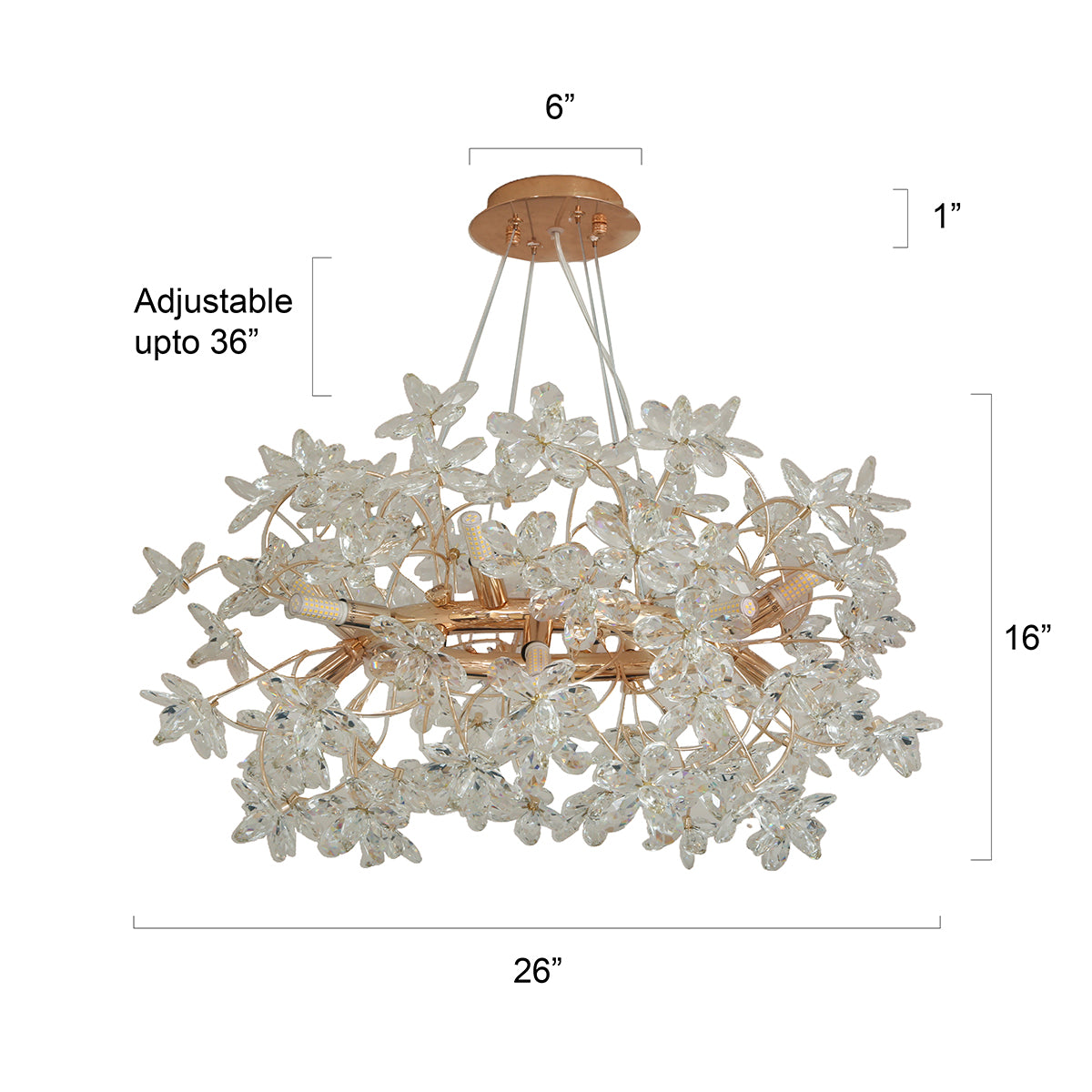 Buy Head Turner Crystal Round LED Chandelier Living Room