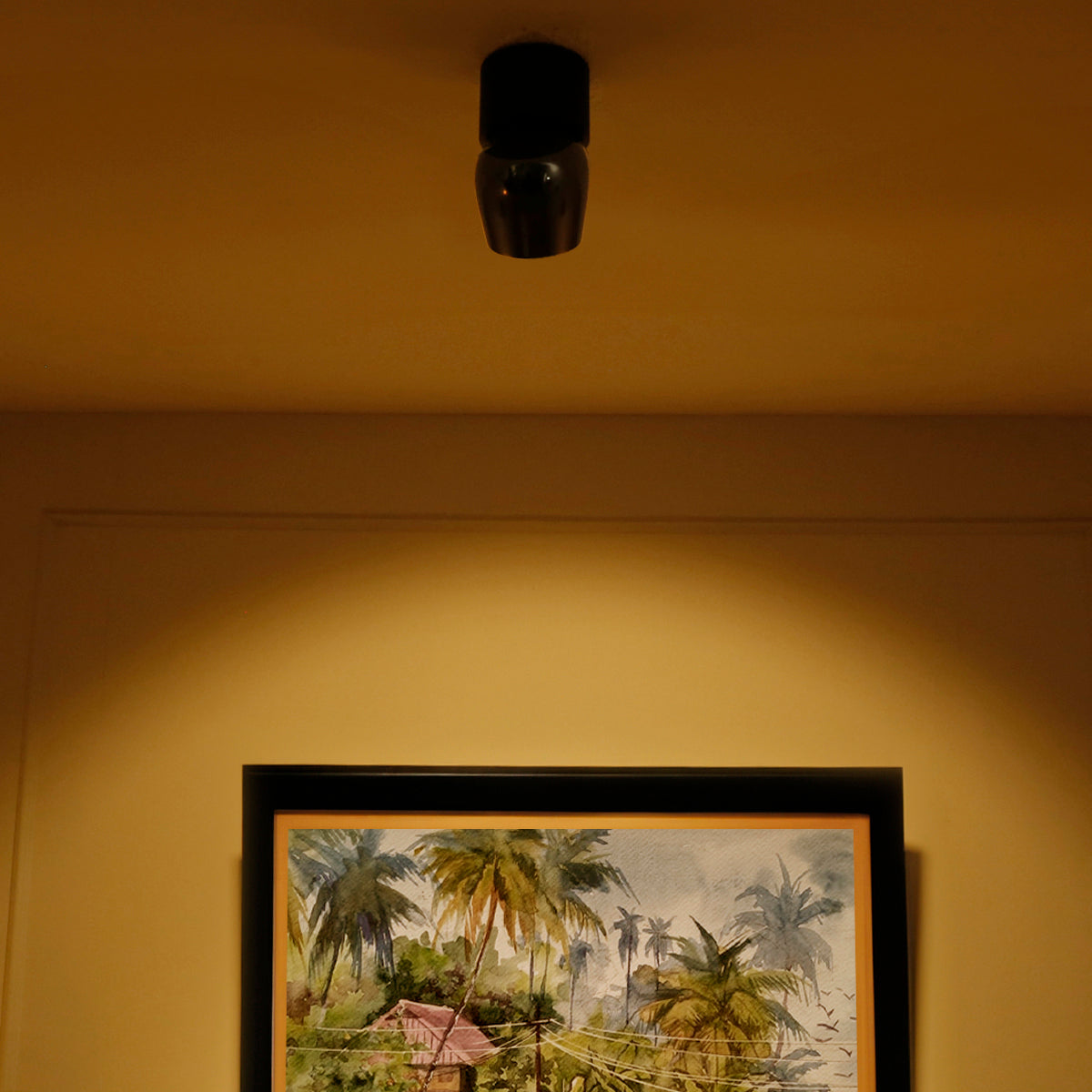 Buy Isha Tiltable Black LED Spot Light Interior Lights