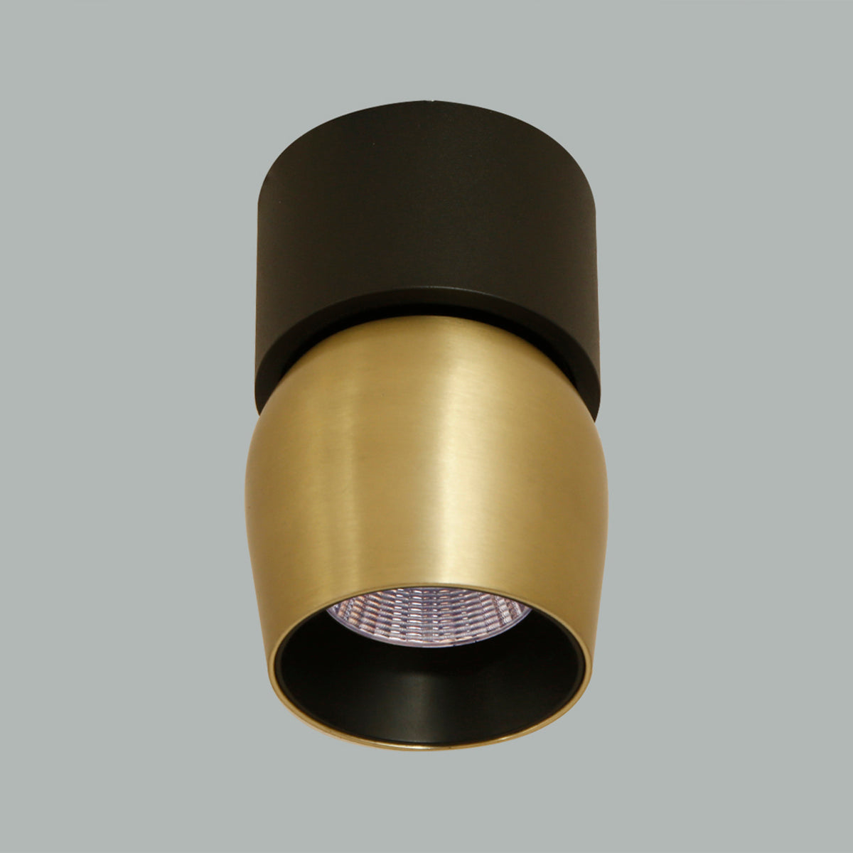 Buy Isha Tiltable Brass LED Spot Light Interior Lights