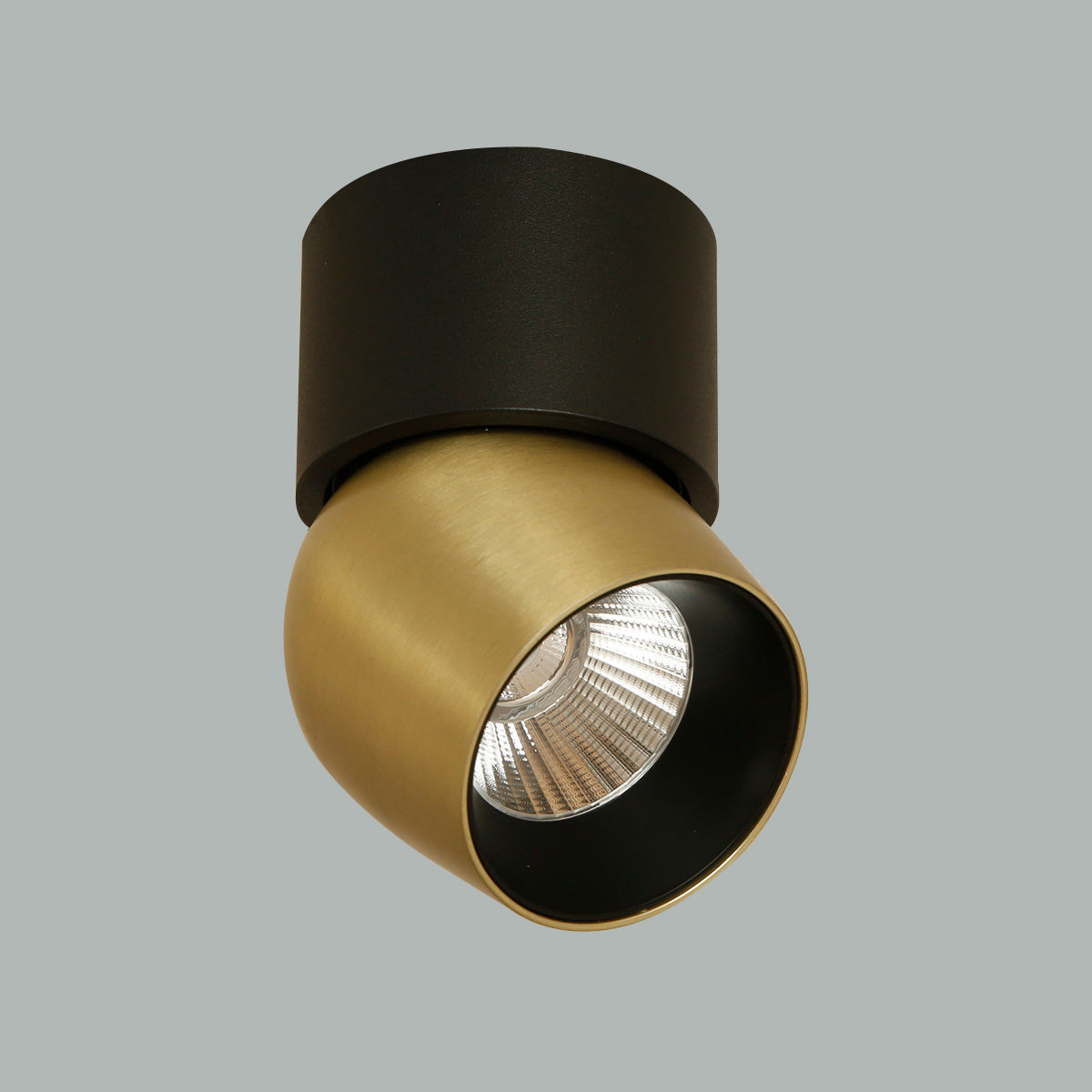 Buy Isha Tiltable Brass LED Spot Light Online