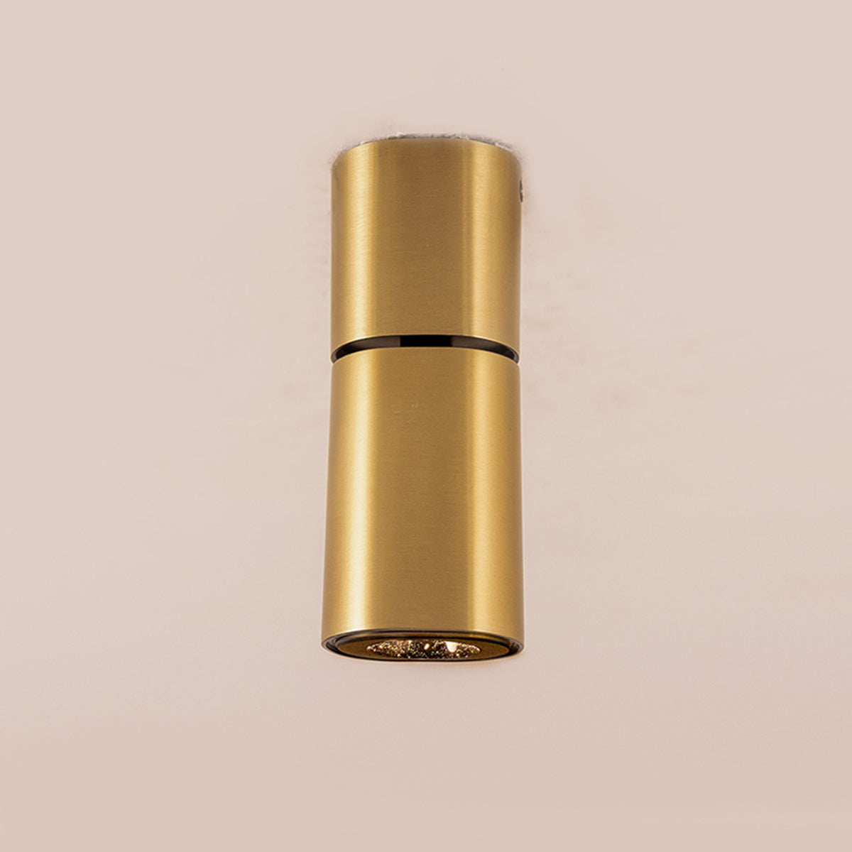 Buy Lava Brass 10 Watts Adjustable LED Spot Light online