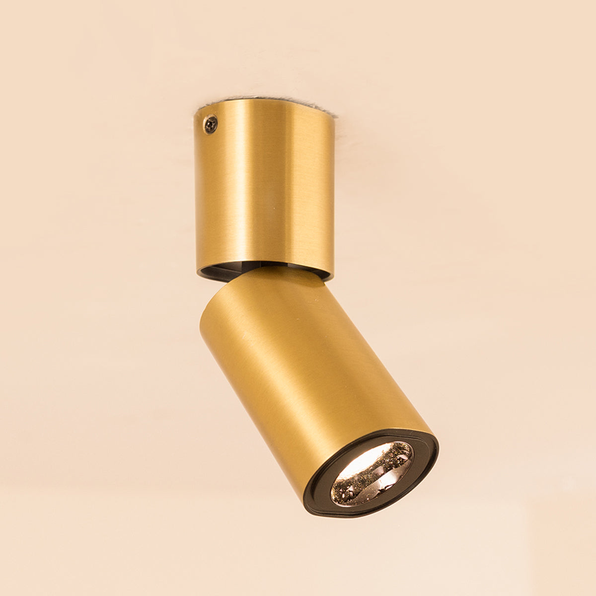 Buy Lava Brass 10 Watts Adjustable LED Spot Light size home