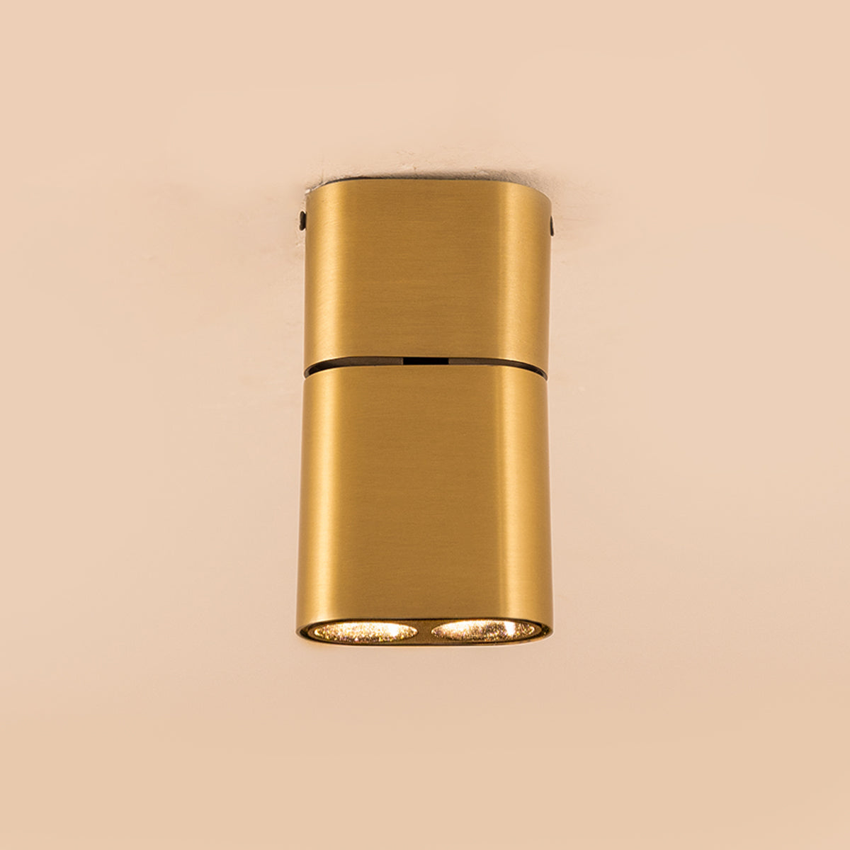 Buy Lava Brass 14 Watts Adjustable LED Spot Light online