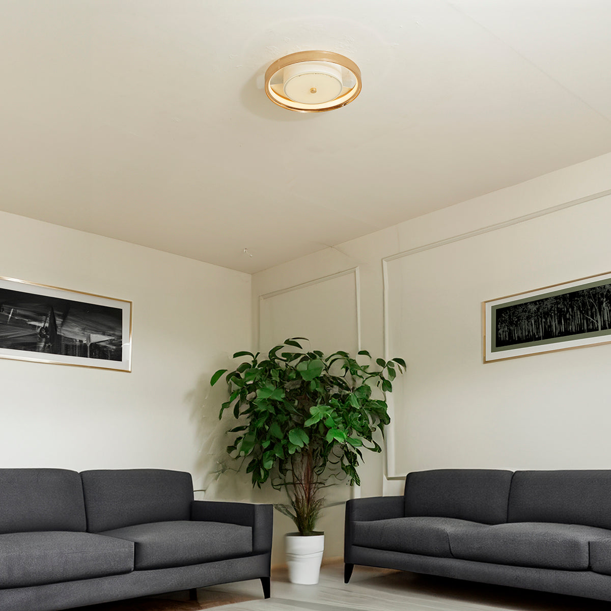 Buy Life Goal Small (3 Colour) LED Chandelier Bangalore