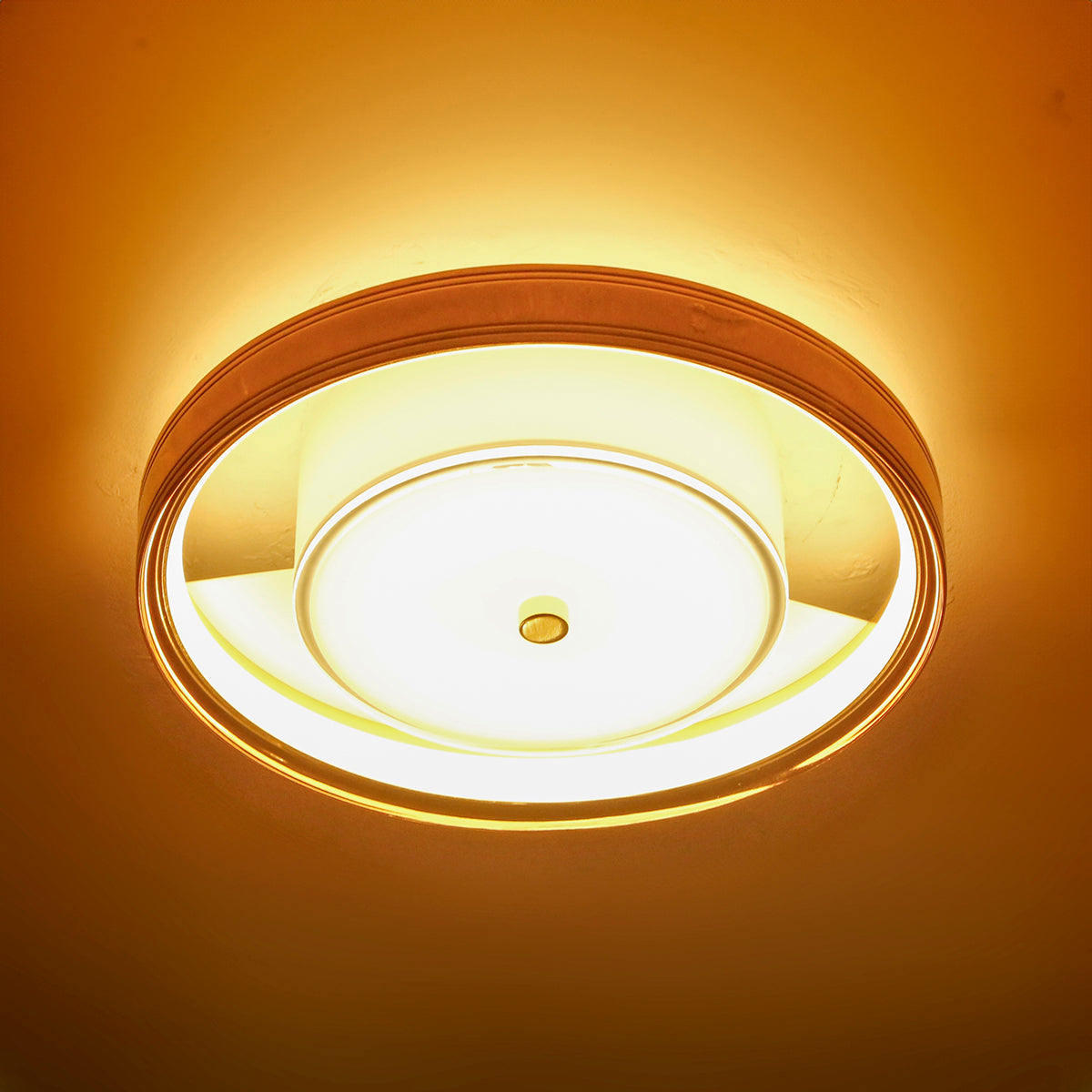 Buy Life Goal Small (3 Colour) LED Chandelier Online