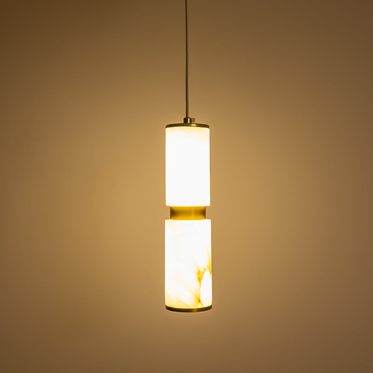 Buy Lost in Paradise Marble LED Pendant Light modern