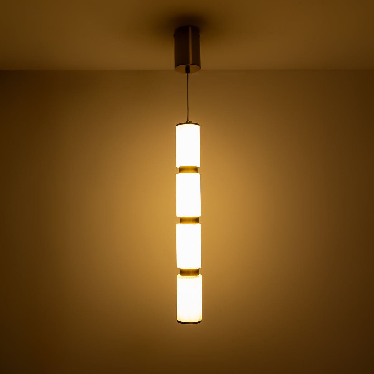 Buy Lost in Paradise Sleek LED Pendant Light Decorative