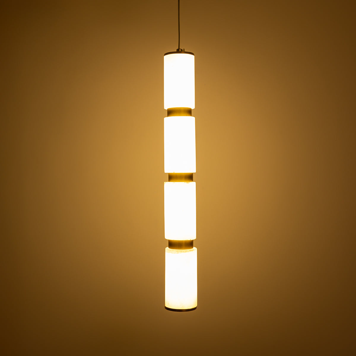 Buy Lost in Paradise Sleek LED Pendant Light bangalore
