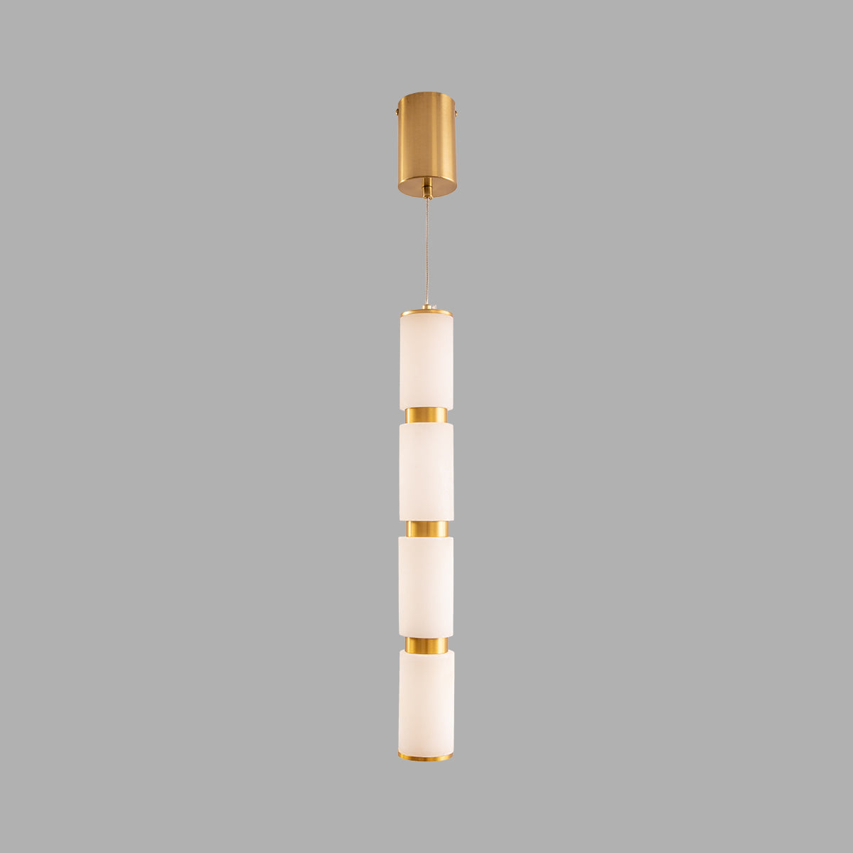 Buy Lost in Paradise Sleek LED Pendant Light home