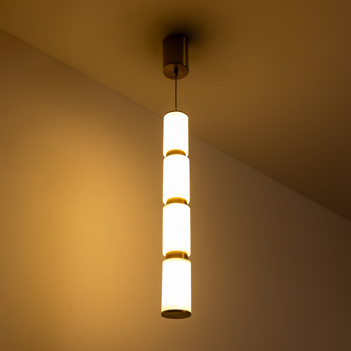 Buy Lost in Paradise Sleek LED Pendant Light modern