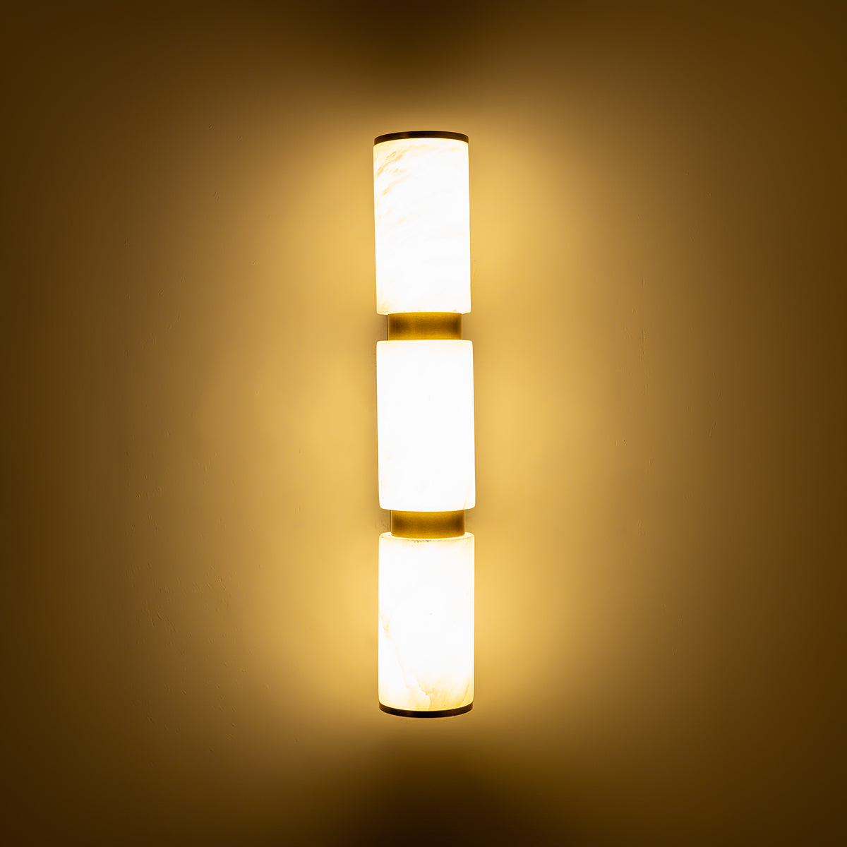 Buy Lost in Paradise medium LED Wall Light home