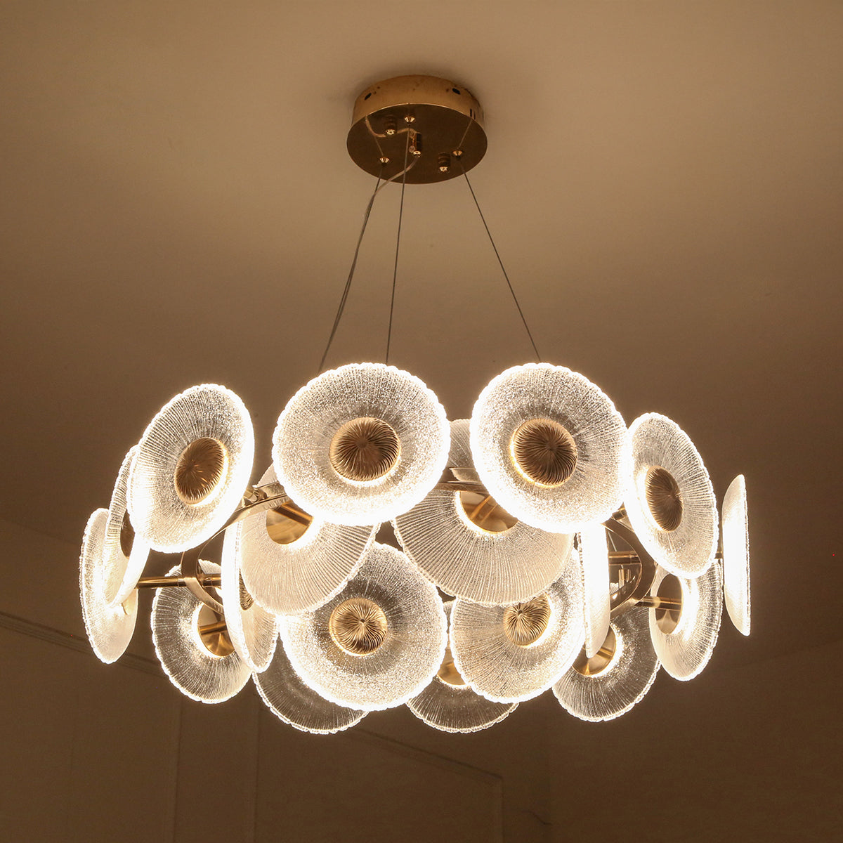Buy Northern Lights (3 Colour ) LED Chandelier Living Room