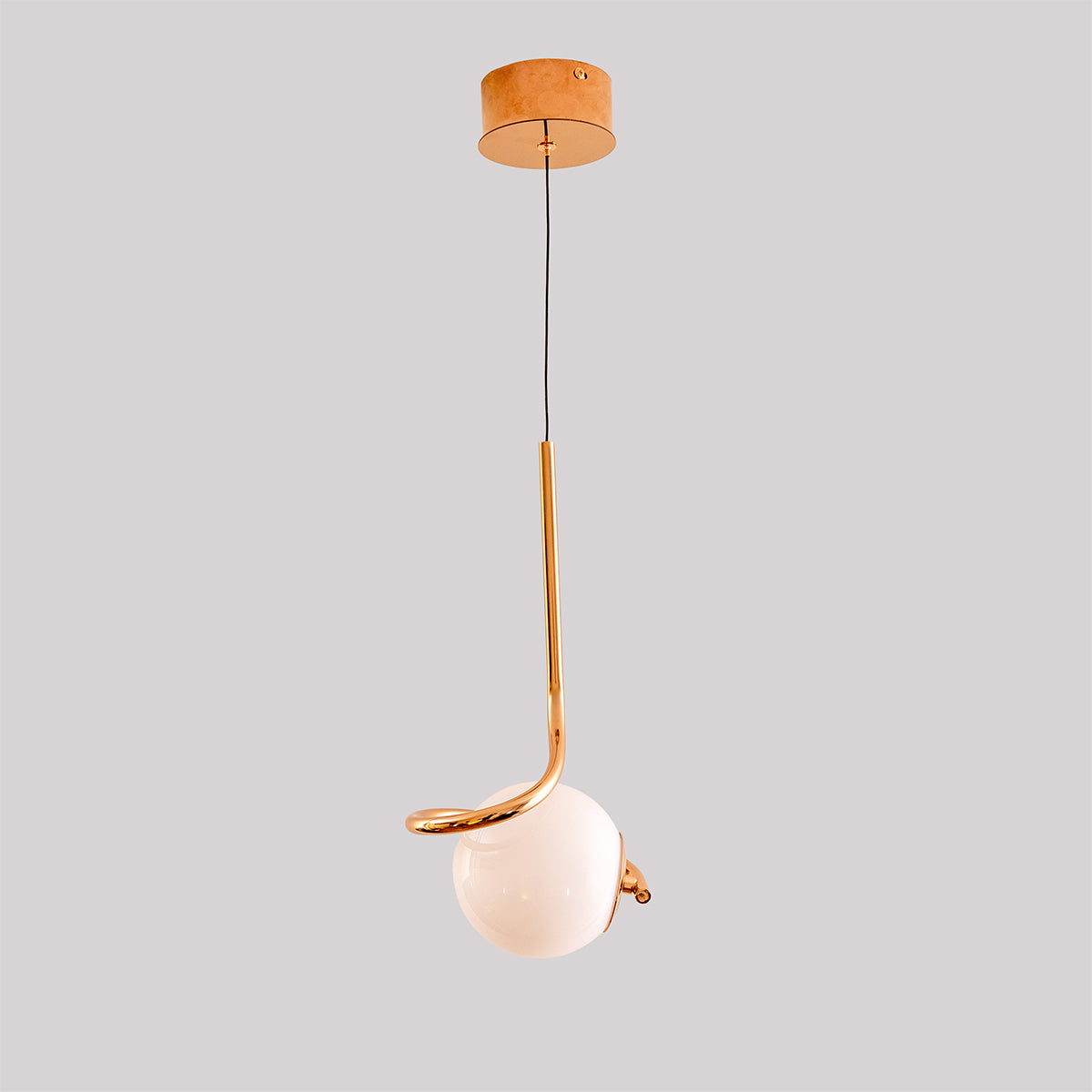 Buy Paris Rose gold LED Pendant Light bangalore