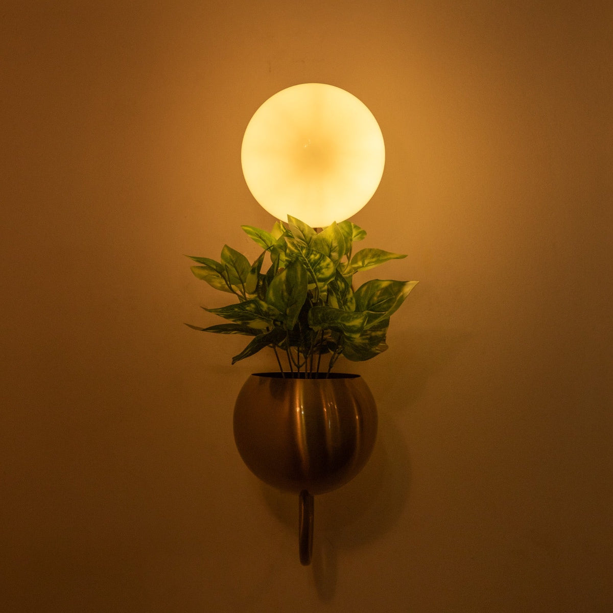 Buy Planter Wall Light Sconce