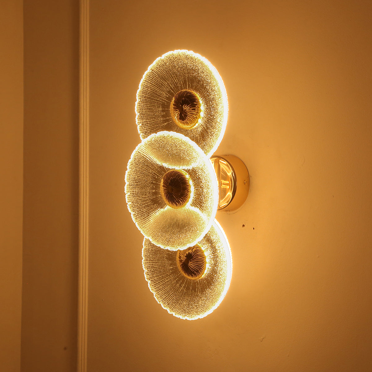 Buy Show off 3 Glass (3 Colour) LED Wall Light Bedroom