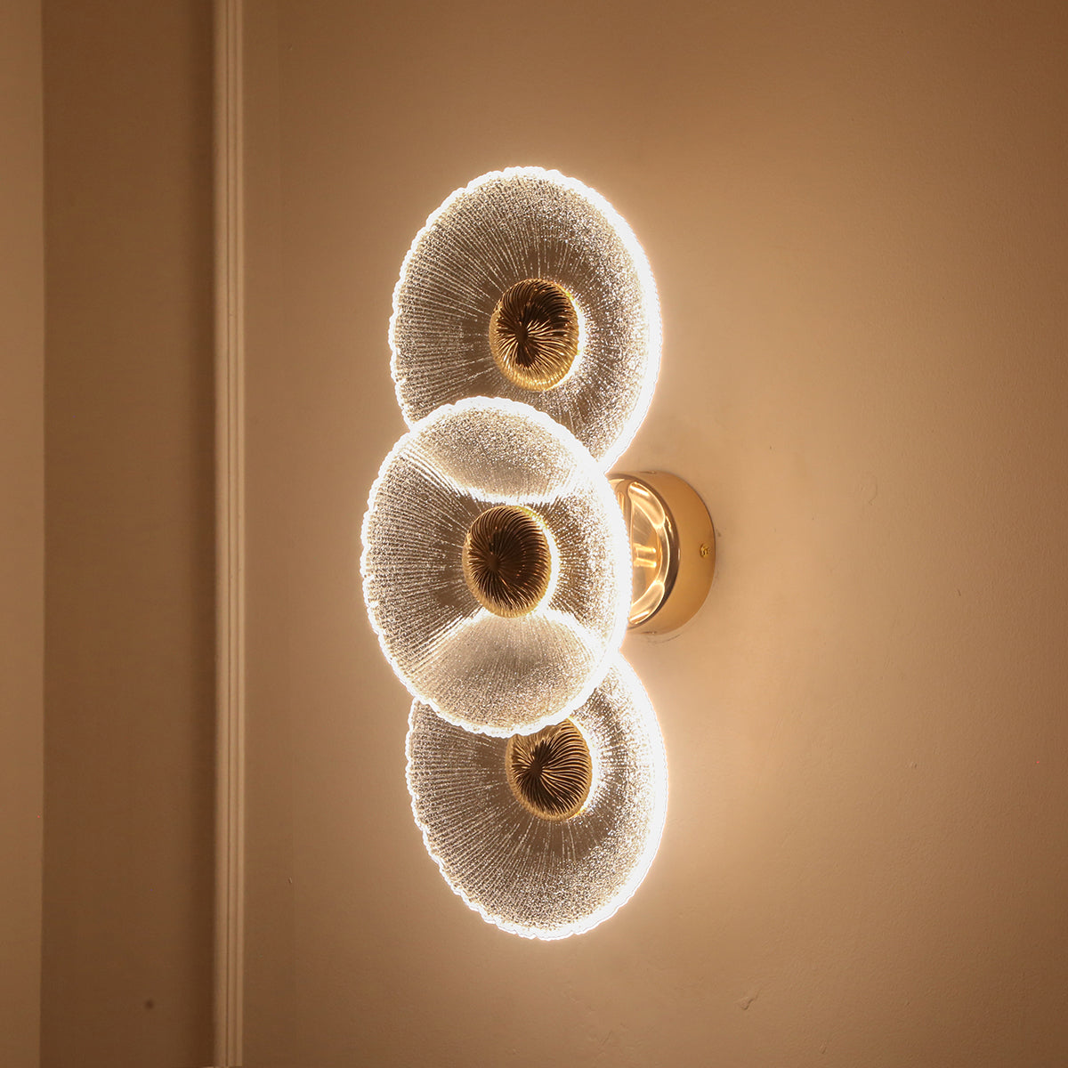 Buy Show off 3 Glass (3 Colour) LED Wall Light Decorative Lights