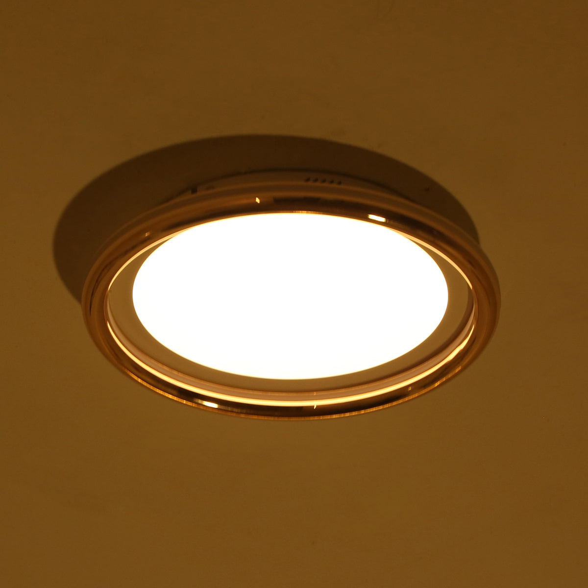 Buy Soni Smart 300mm (2 Colour) LED Chandelier Interior Lights