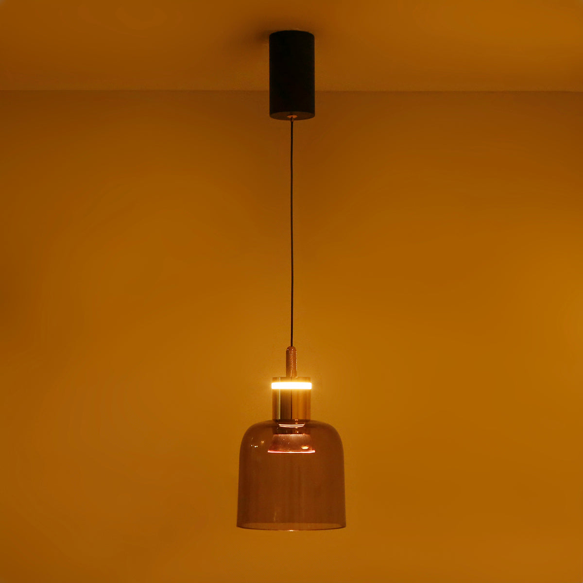 Buy Trendy Smoke LED Pendant Light Online