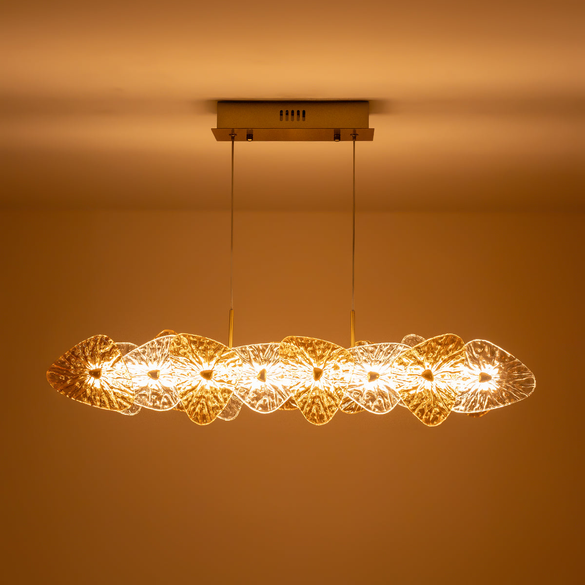 Buy Trouble free LED Chandelier home