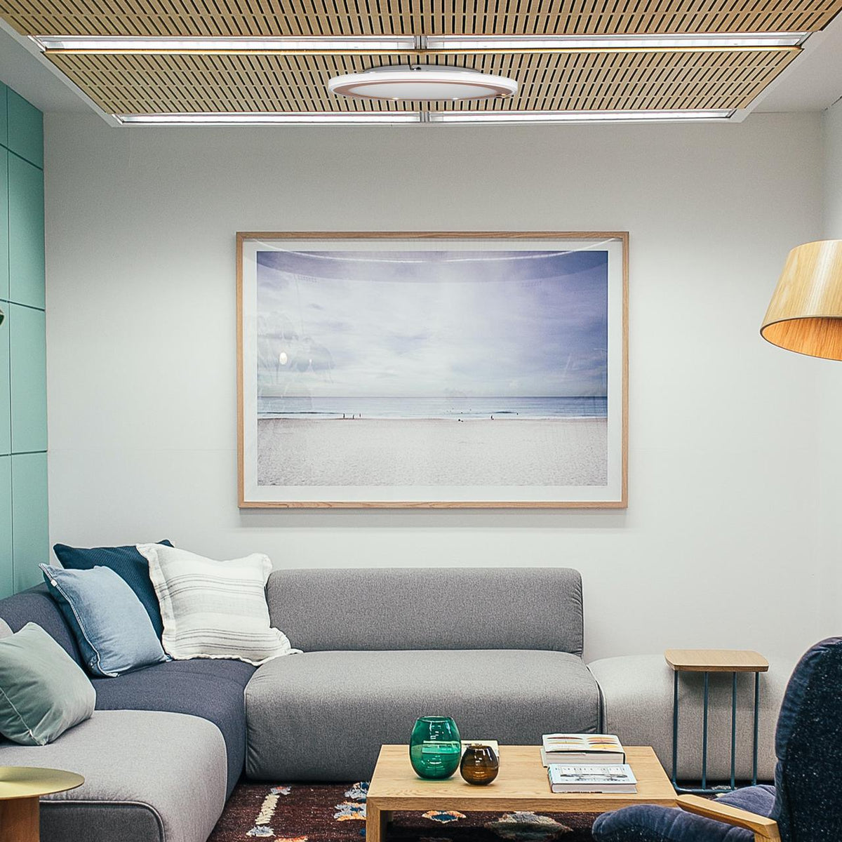 Buy shop ceiling light