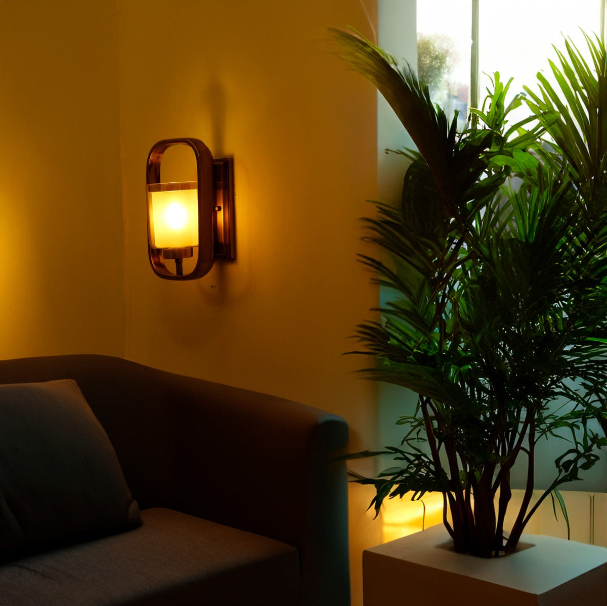 Captivating Wall Light online