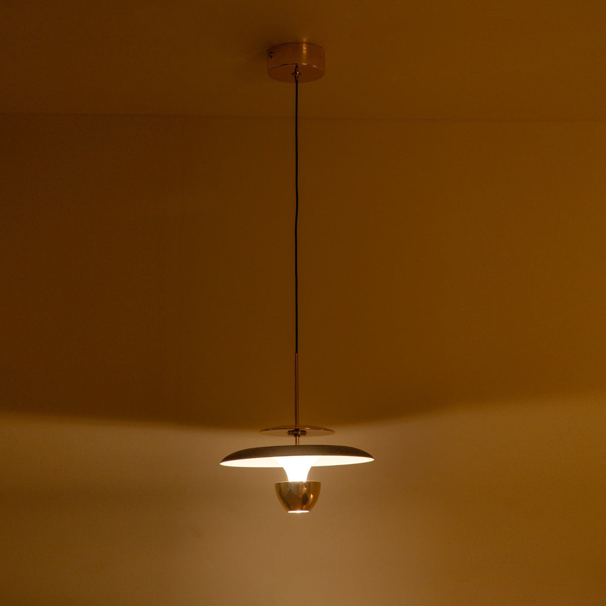 Double Down Gold Black LED Pendant Light