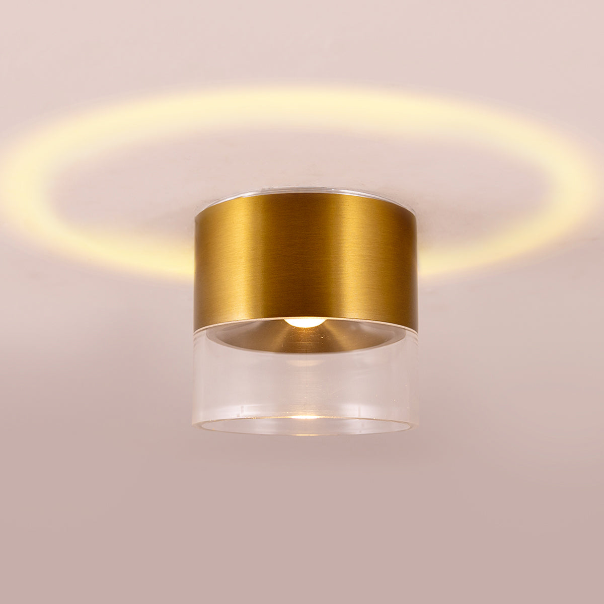 Halo Brass LED Ceiling Light home