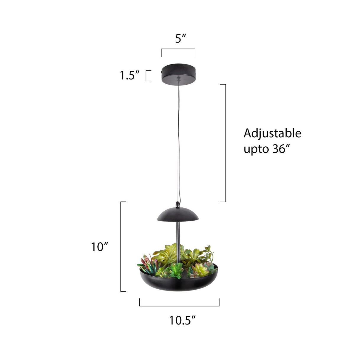 Hanging Garden LED Pendant Light online
